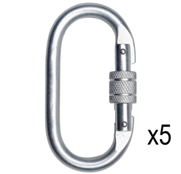 Deltaplus AM002X5V2 5'li Vidalı Screw Lock Çelik Kilitli Karabina 23KN