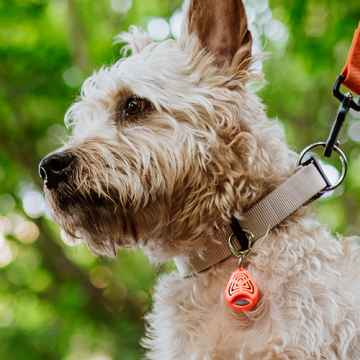 Tickless Pet Evcil Hayvanlar için Ultrasonik Kene ve Pire Kovucu Cihaz Turuncu
