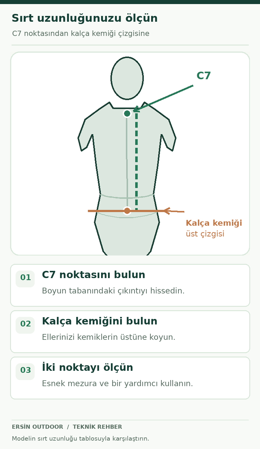 C7 omuru ve kalça kemiğinin üst çizgisi arasında sırt uzunluğu ölçme şeması; dikey mobil şema