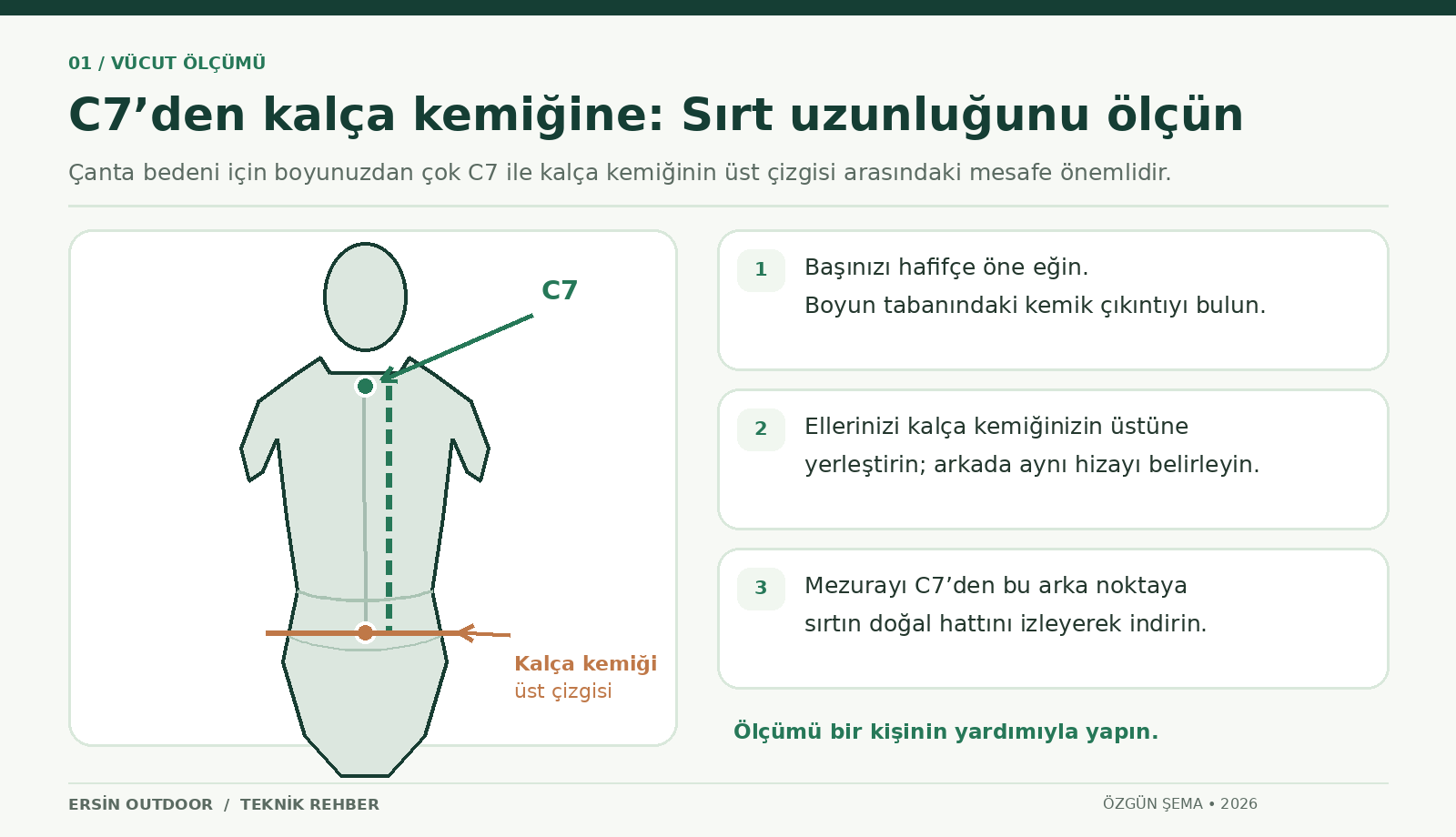C7 omuru ve kalça kemiğinin üst çizgisi arasında sırt uzunluğu ölçme şeması