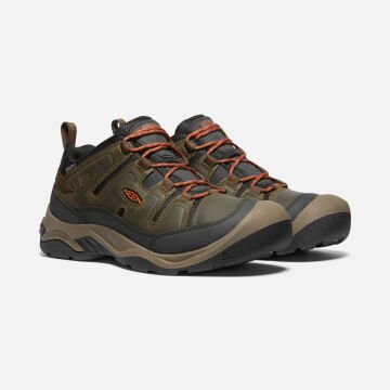 Keen Circadia KeenDryGtx Su Geçirmez Erkek Ayakkabı Black Olive/Potters Clay 1026774