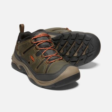 Keen Circadia KeenDryGtx Su Geçirmez Erkek Ayakkabı Black Olive/Potters Clay 1026774