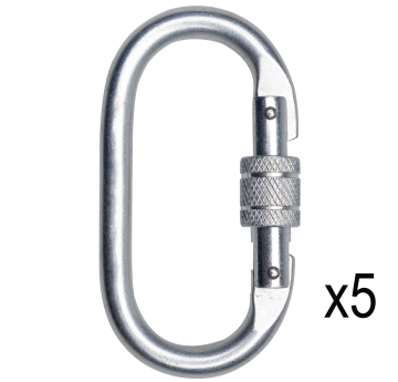 Deltaplus AM002X5V2 5'li Vidalı Screw Lock Çelik Kilitli Karabina 23KN