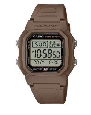 Casio W-800H-5AVDF Erkek Kol Saati