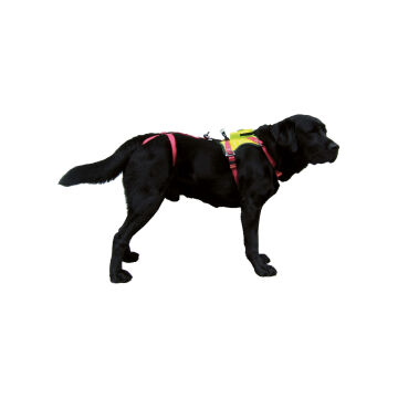 Camp Kronos Arama Kurtarma Köpekleri İçin Tam Vücut Emniyet Kemeri