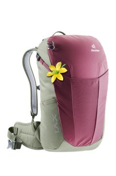 DEUTER  XV 1 SL Bilgisayar Sırt Çantası MARON-KHAKİ