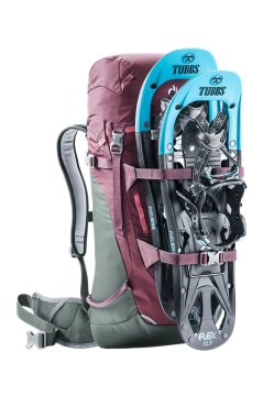 DEUTER  Rise Lite 26 Litre SL  Sırt Çantası Maron-Ivy