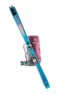 DEUTER  Rise Lite 26 Litre SL  Sırt Çantası Maron-Ivy