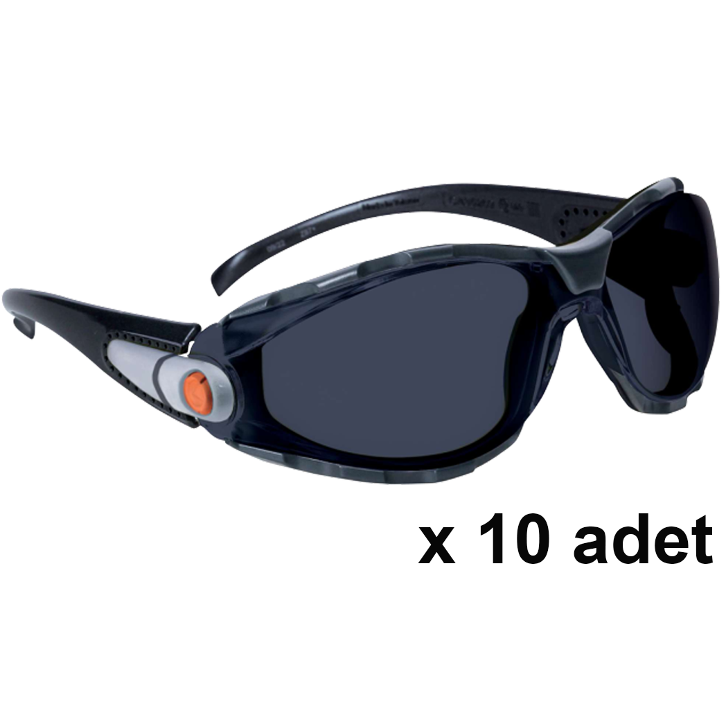 Deltaplus Pacaya Smoke Füme 10'lu PAKET UV400 Polikarbonat Monoblok Buğulanmaz Çizilmez Ayarlı Sap İş Güvenlik Gözlüğü