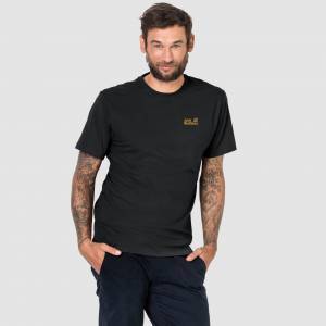 Dry Fit  Erkek Siyah T-Shirt