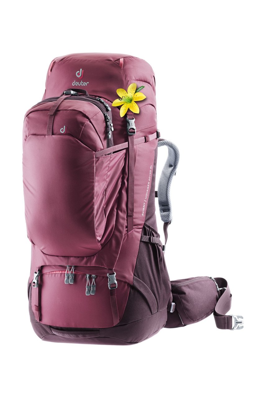 DEUTER Aviant Voyager 60+10 SL Sırt Çantası MARON-AUBERGİNE