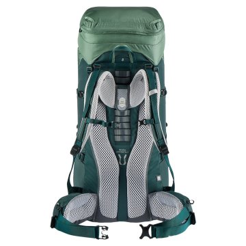 Deuter Aircontact Lite 60 + 10 SL Kadın Çanta aloe-forest