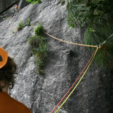 TENDON Alpine 7.9 80 Metre Sarı Dinamik İp EN 892 CE 1019
