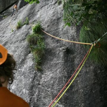 TENDON Alpine 7.9 60 Metre Sarı Dinamik İp EN 892 CE 1019