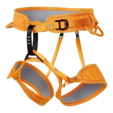 Rob Harness Orange