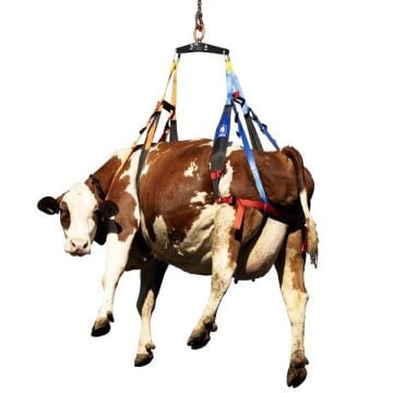 Kong Italy Berta 350–1000 kg Büyükbaş Sığır Hayvan ve At Kurtarma & Kaldırma Emniyet Kemeri