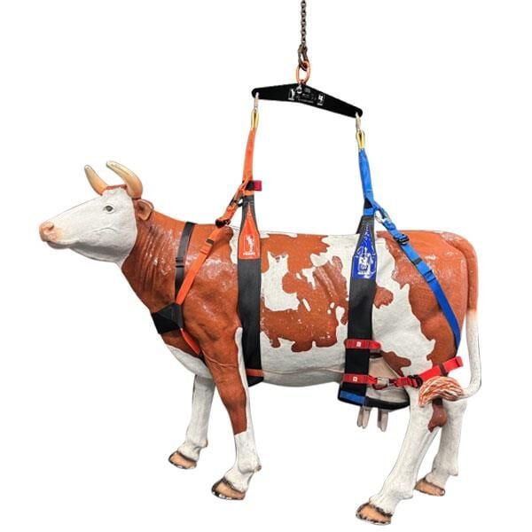 Kong Italy Berta 350–1000 kg Büyükbaş Sığır Hayvan ve At Kurtarma & Kaldırma Emniyet Kemeri