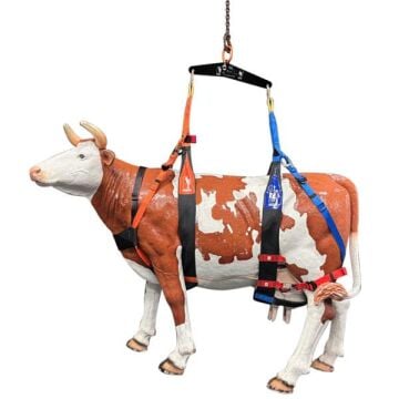 Kong Italy Berta 350–1000 kg Büyükbaş Sığır Hayvan ve At Kurtarma & Kaldırma Emniyet Kemeri