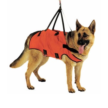 Alp Design TAXI Acil Durum Köpek Taşıma Harnessı