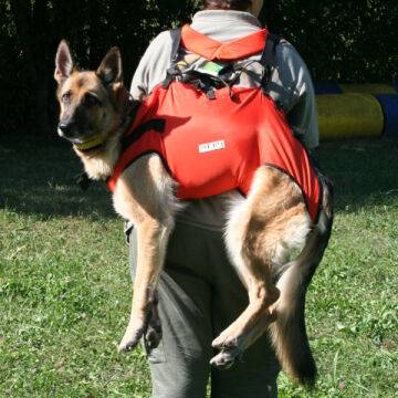 Alp Design TAXI Acil Durum Köpek Taşıma Harnessı