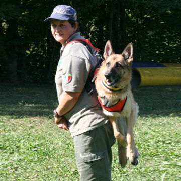 Alp Design TAXI Acil Durum Köpek Taşıma Harnessı