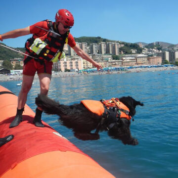 Alp Design DELPHINUS Su Kurtarma Köpek Can Yeleği ve Kurtarma Harnessı