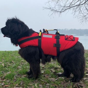 Alp Design DELPHINUS Su Kurtarma Köpek Can Yeleği ve Kurtarma Harnessı