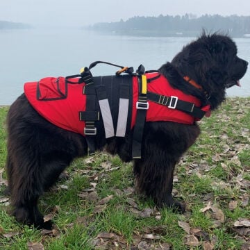 Alp Design DELPHINUS Su Kurtarma Köpek Can Yeleği ve Kurtarma Harnessı