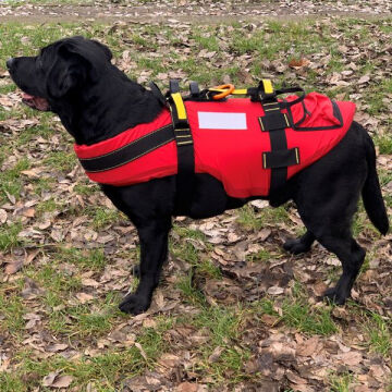 Alp Design DELPHINUS Su Kurtarma Köpek Can Yeleği ve Kurtarma Harnessı