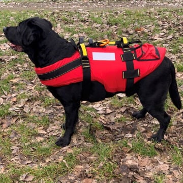 Alp Design DELPHINUS Su Kurtarma Köpek Can Yeleği ve Kurtarma Harnessı