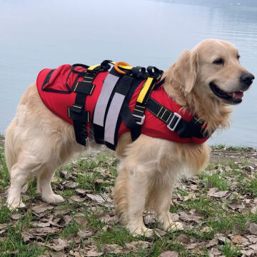 Alp Design DELPHINUS Su Kurtarma Köpek Can Yeleği ve Kurtarma Harnessı