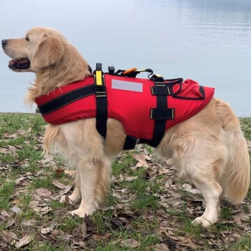 Alp Design DELPHINUS Su Kurtarma Köpek Can Yeleği ve Kurtarma Harnessı