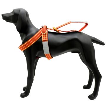 Alp Design LAIT Çok Amaçlı K9 Kurtarma ve Destek Harnessı