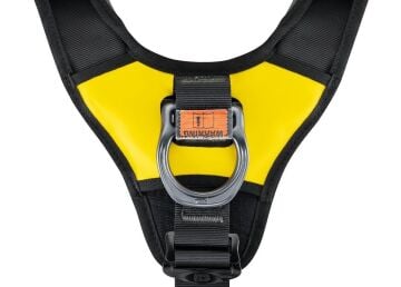 PETZL AVAO BOD Emniyet Kemeri - Uluslararası Versiyon 2 Beden MZ C071CA02