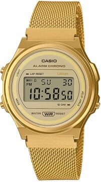 Casio A171WEMG-9ADF Retro Kadın Kol Saati