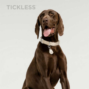 Tickless Pet Evcil Hayvanlar için Ultrasonik Kene ve Pire Kovucu Cihaz Beige