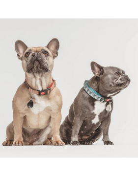 Tickless Pet Evcil Hayvanlar için Ultrasonik Kene ve Pire Kovucu Cihaz Beige