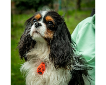 Tickless Pet Evcil Hayvanlar için Ultrasonik Kene ve Pire Kovucu Cihaz Turuncu