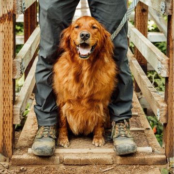 Keen Ridge Flex Mid KeenDryGtx Su Geçirmez Erkek Bot Black Magnet/Black 1024911