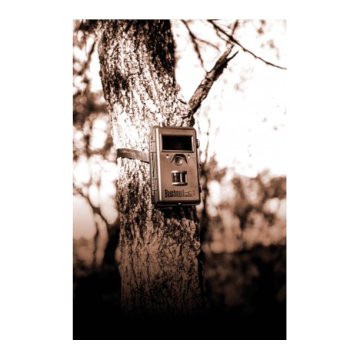 Bushnell Trophy Fotokapan Kamera 8mp