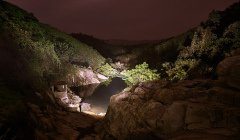 LED Lenser X21 El Feneri (4xd)