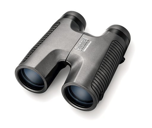 Bushnell 10x42 Perma Focus El Dürbünü