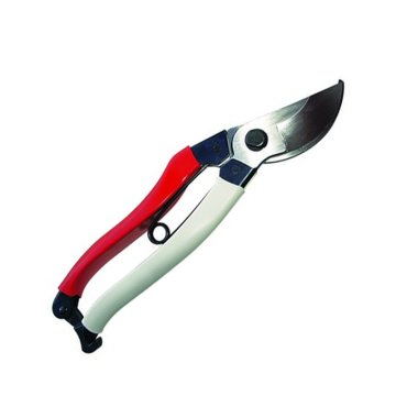 Silky Okatsune Budama Makası ve Super Accel 210-7,5 Professional Testere