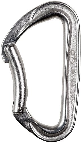 Climbing Technology Passion Egis Kapı Karabina Silver