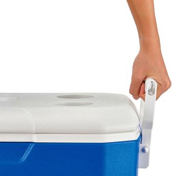 Coleman Poly-Lite 48 QT Taşınabilir Soğutucu Buzluk 45.7 Lt MZ