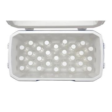 Coleman Poly-Lite 48 QT Taşınabilir Soğutucu Buzluk 45.7 Lt MZ