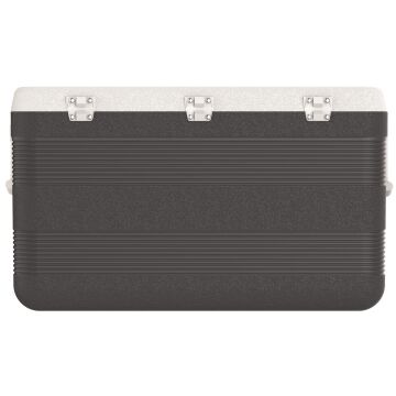 IcePeak CoolCraft 120 Buzluk 113 Litre-FÜME