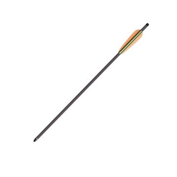Crosman Carbon Yedek Ok (6 Adet)