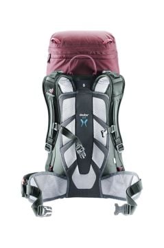 DEUTER  Rise Lite 26 Litre SL  Sırt Çantası Maron-Ivy MZ
