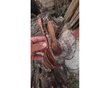 Ozul Knives Kaşık Taslağı Ceviz